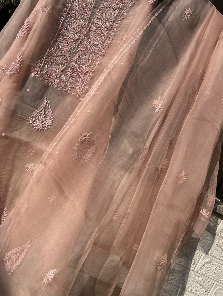 Pure Silk Organza Unstitched Elegance