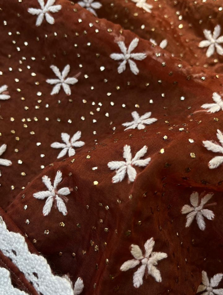 Le charme festif de l'organza Chikankari