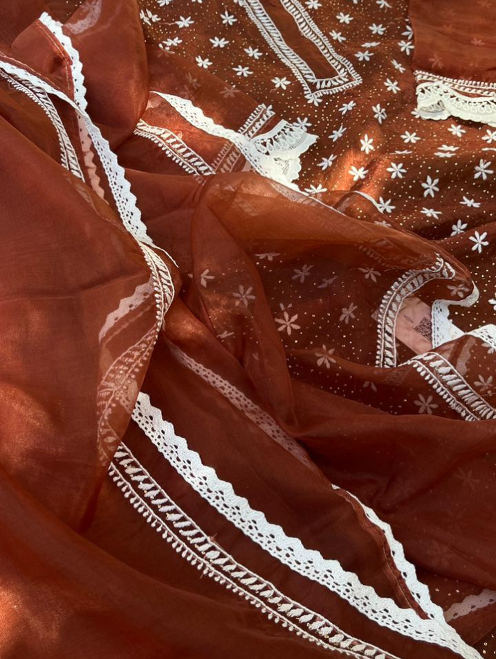 Le charme festif de l'organza Chikankari