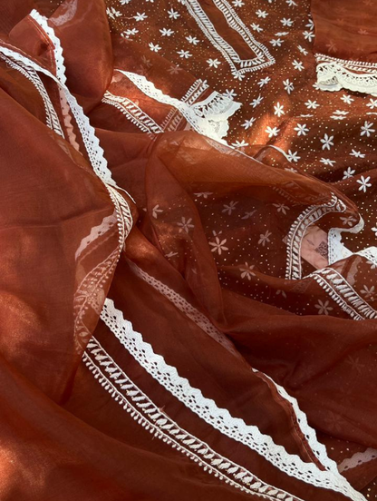 Le charme festif de l'organza Chikankari