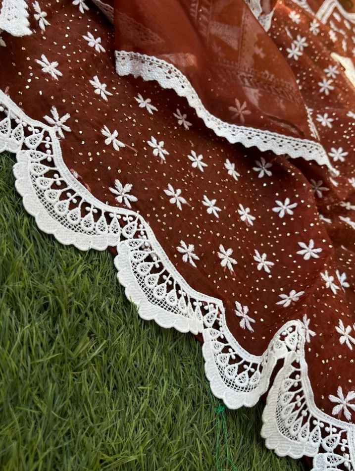Le charme festif de l'organza Chikankari