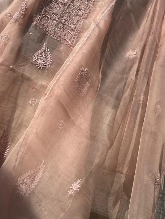 Pure Silk Organza Unstitched Elegance