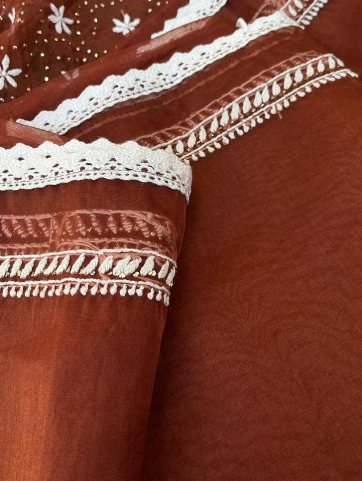 Le charme festif de l'organza Chikankari