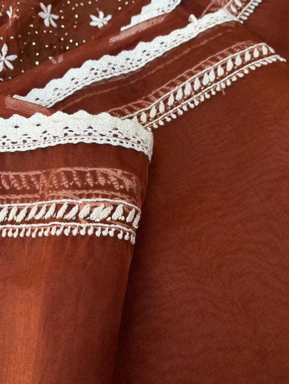 Le charme festif de l'organza Chikankari