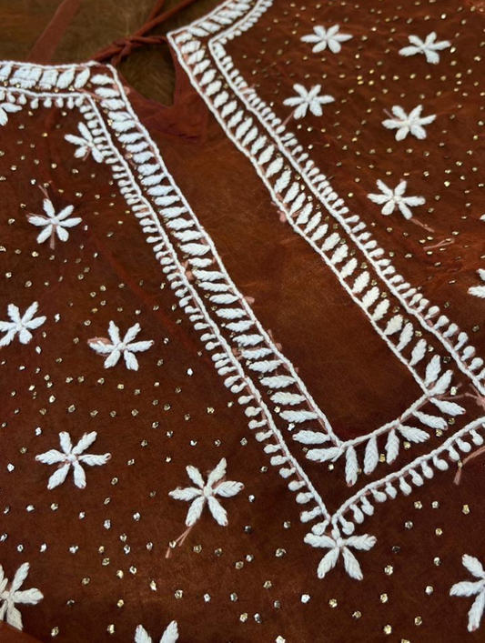 Le charme festif de l'organza Chikankari