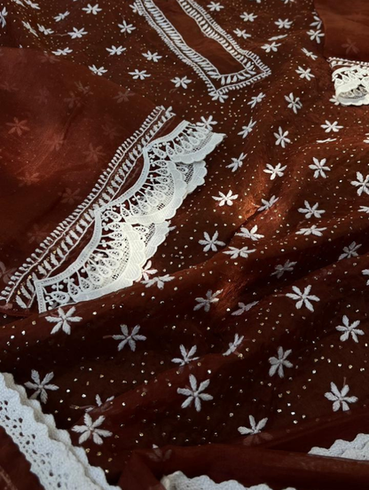 Le charme festif de l'organza Chikankari