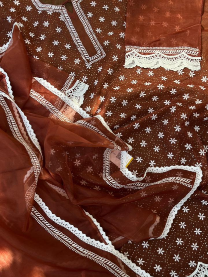 Le charme festif de l'organza Chikankari