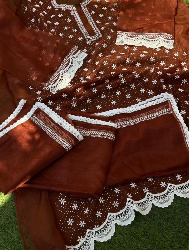 Le charme festif de l'organza Chikankari