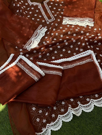 Le charme festif de l'organza Chikankari
