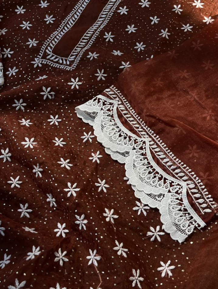 Le charme festif de l'organza Chikankari