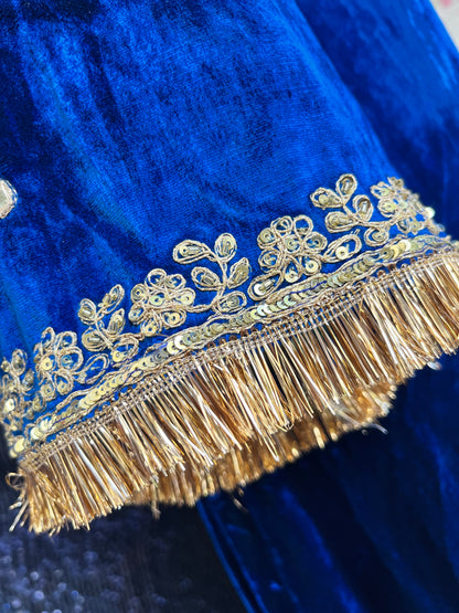 Regal Silk Velvet Suit with Ethereal Tissue Dupatta