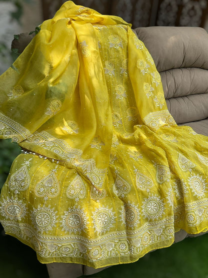 Haldi Yellow Silk Organza Anarkali – Radiant Elegance with Rose Shadow Bootas