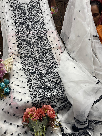 Peacock Elegance – Silk Organza Kurta & Dupatta Set