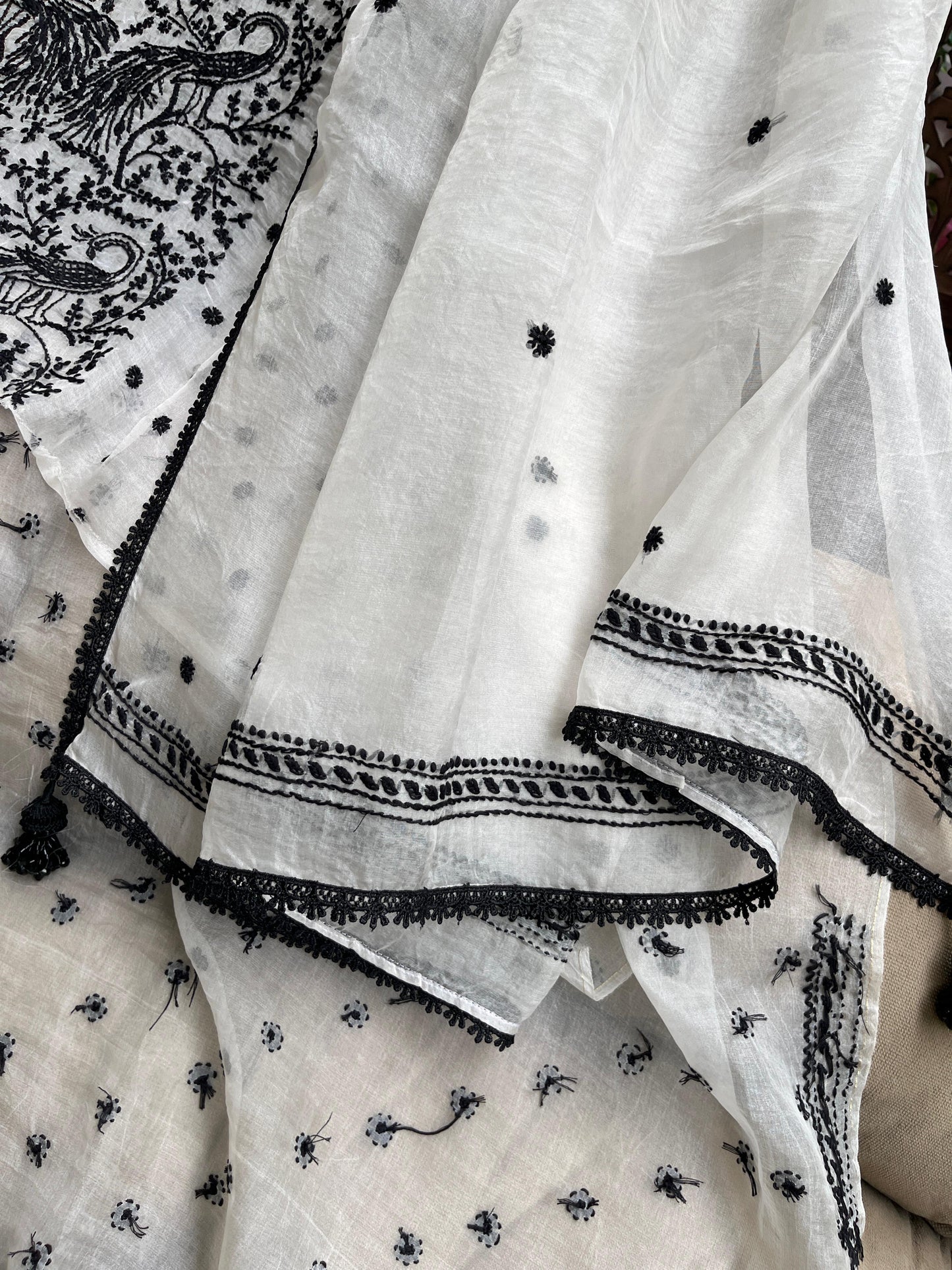 Exquisite Silk Organza Kurta & Dupatta Set