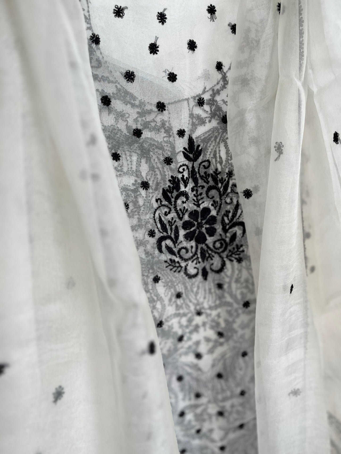 Exquisite Silk Organza Kurta & Dupatta Set